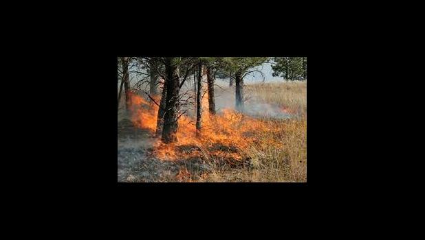 Prescribed burns will begin on Mark Twain National Forest. A map of planned 2024 prescribed burn units is posted online. photo provided