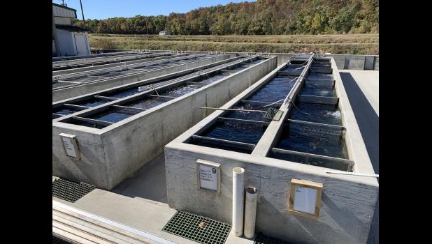 Outdoor holding tanks for goldfish and koi at Ozark Fisheries, Stoutland, MO. photo provided